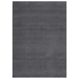 Shaggy Rug Anthracite 8'x10' Polyester